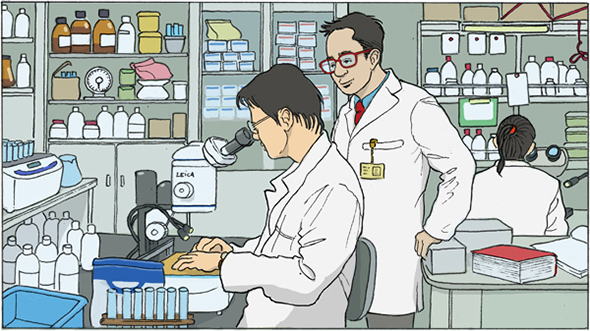 美容化粧品Fracora